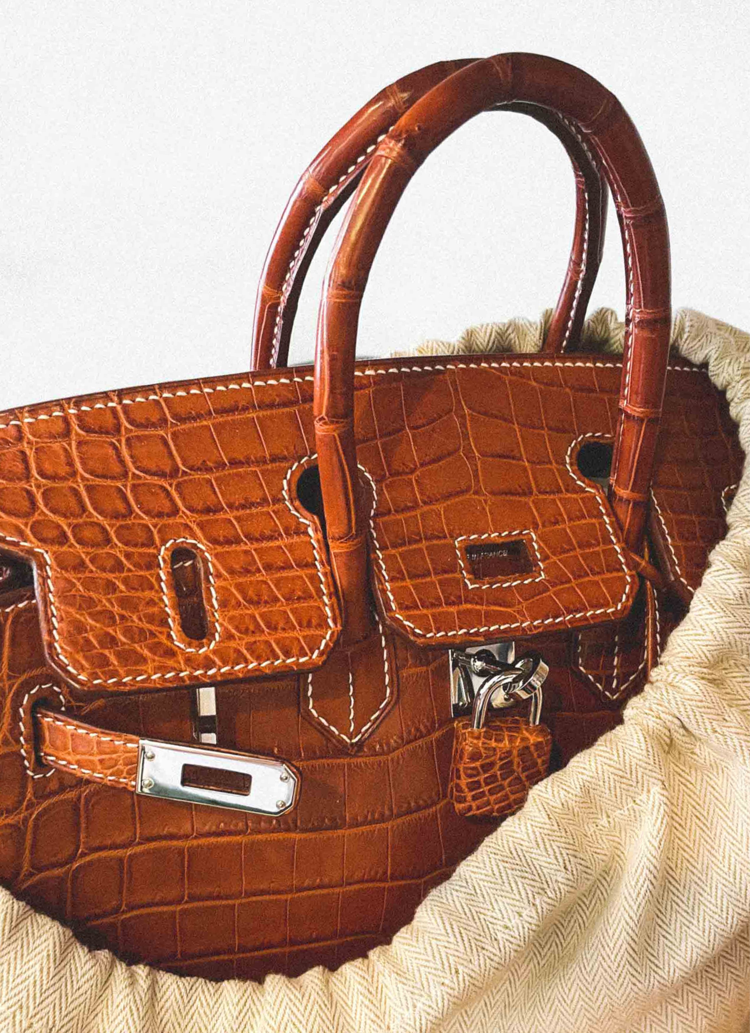 Hermès Exotics: An Expert's Guide | ReSee